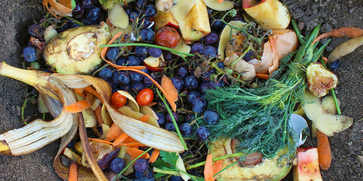 Why 35% of Food Goes to Waste: A Deep Dive
