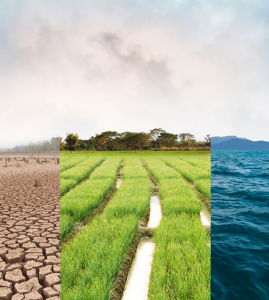 Climate change, compare image with Drought, Green field and Ocean metaphor Nature disaster, World climate and Environment, Ecology system.