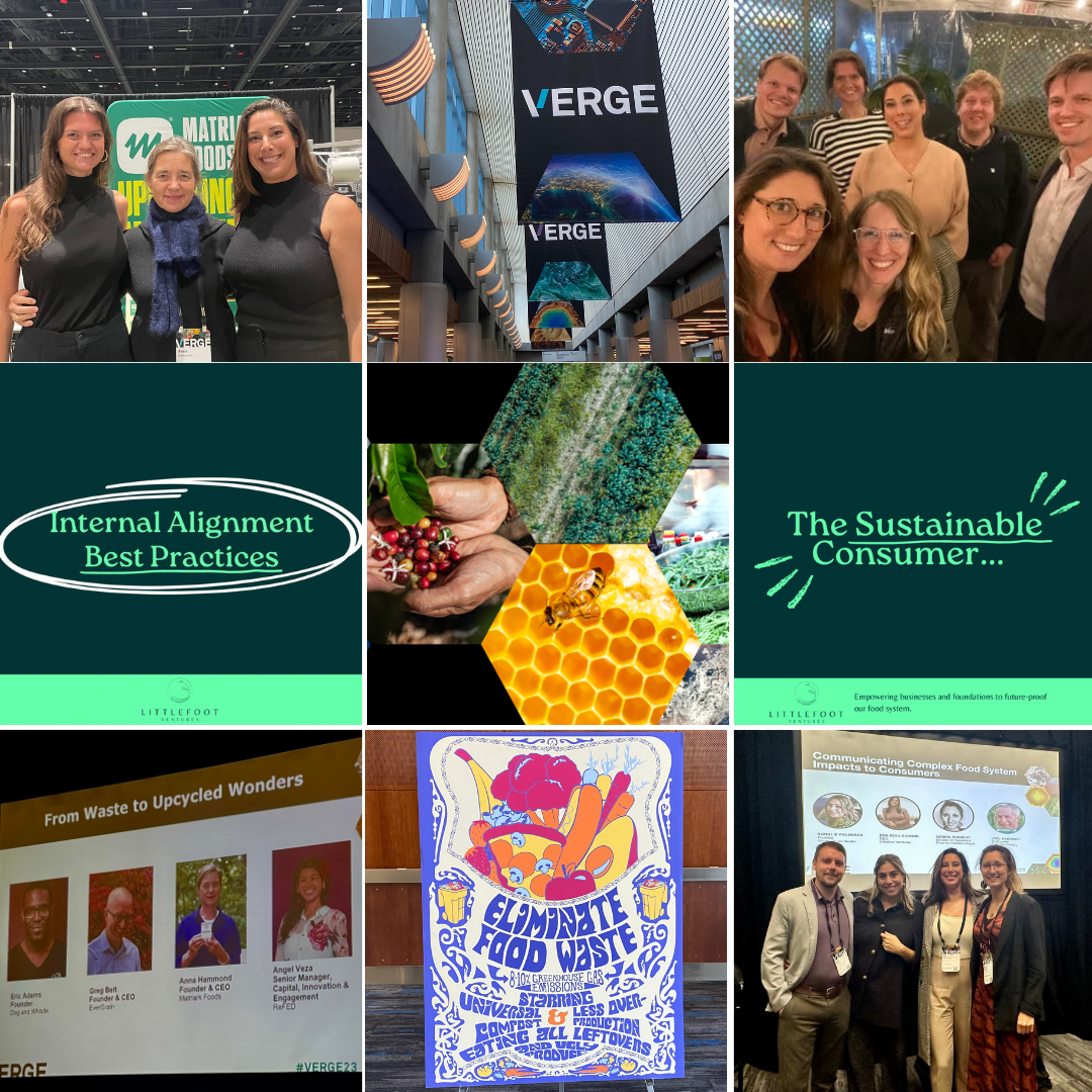 9 Tiles with different images on them including 3 group photos, VERGE banner, powerpoint slide with different professional profiles on it, a colorful poster that says "eliminate food waste" and 2 simple text slides with a dark green background & light green text saying "Internal Alignment Best Practices" and "The Sustainable Consumer"
