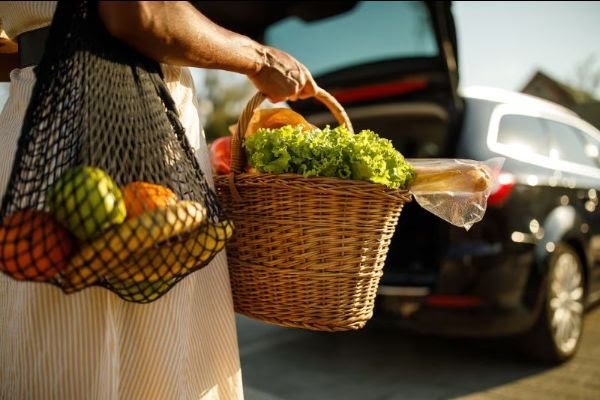 woman holding basket of vegetables and bag of fruit